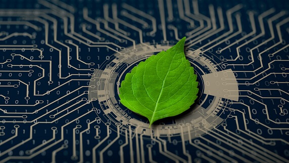 Participação Popular