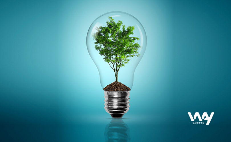 Equipe do Instituto Áurea